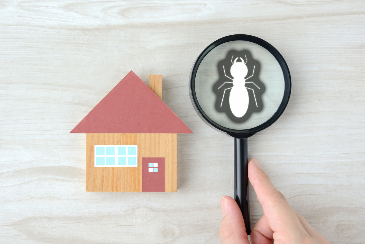 7 interesting statistics from the pest control industry in 2022